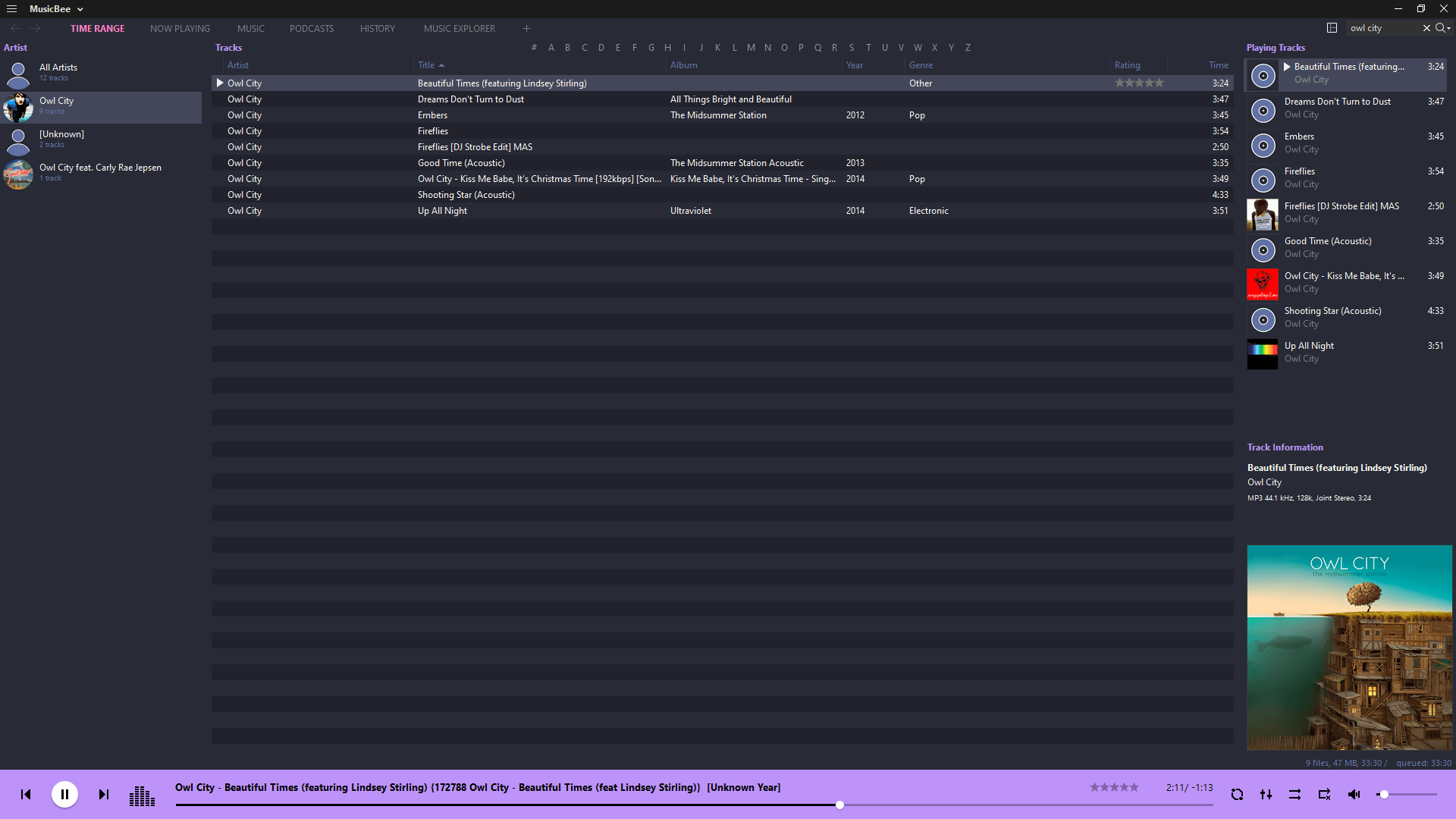 musicbee - Theme Preview